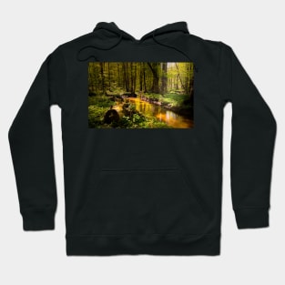 Spring mystical forest Hoodie